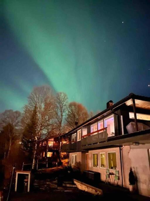 Cosy Flat Near Cable Car And The Arctic Cathedral Appartement Tromsø Buitenkant foto